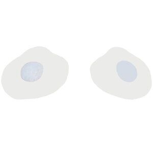 Clear Double Secure Nipple Covers Silicone Breast Petals Pasties